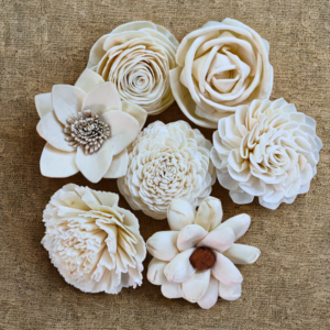 All Sola Wood Flowers